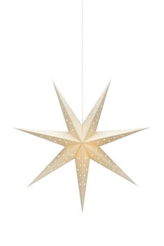 Solvalla Stern Gold 75 cm