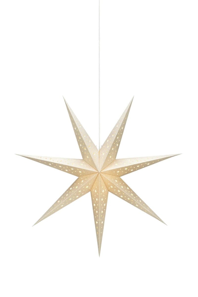 Solvalla Stern Gold 75 cm