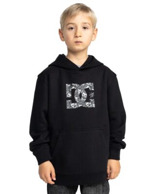 DC Shoes Hoodie "DC Star Glow"