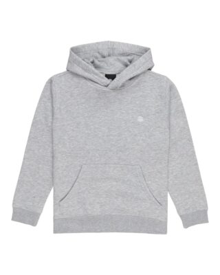 Element Kapuzensweatshirt "Icon Embroidery Po Y"