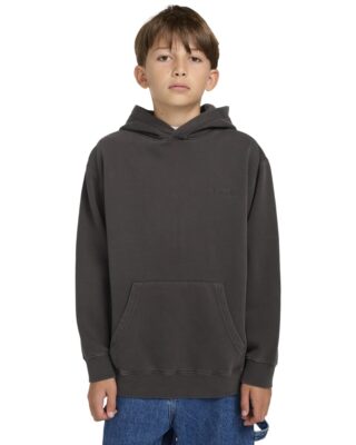 Element Kapuzensweatshirt "Lowcase Pigment Po Y"