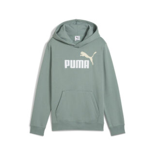 PUMA Kapuzensweatshirt "ESS 2 COLOR NO. 1 LOGO HOODIE FL B"