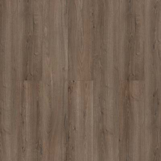 toom Laminat 'Savanne' Eiche Bodman graubraun 7 mm