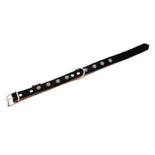 Heim Halsband Edelweiß, schwarz/natur - 36 - 44 cm Halsumfang, 25 mm breit
