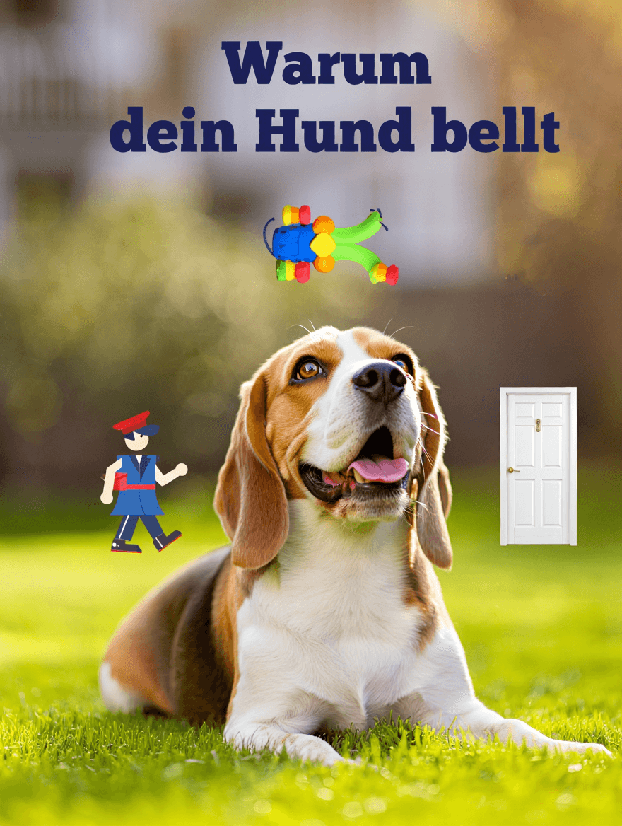 artikel haustier warum dein hund bellt