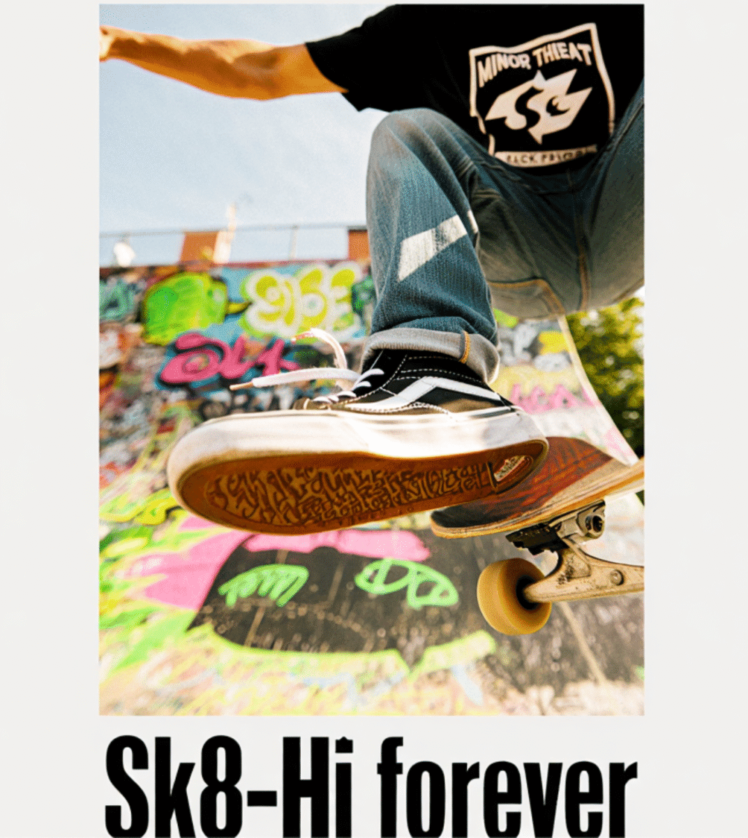 artikel streetwear sk8 hi forever