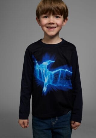 KIDSWORLD Langarmshirt "FLYING DINO" Langarm, Basic-Passform, bedruckt, Rundhalsausschnitt