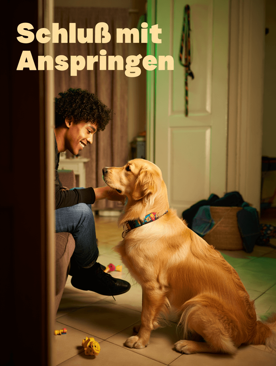 artikel haustier hunde schluß mit anspringen