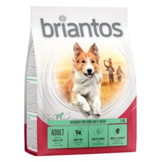 Briantos Adult Lamm & Reis - Sparpaket: 4 x 1 kg
