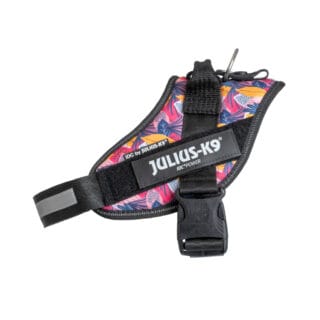 Limited Edition Julius-K9 IDC® Powerharness, Leaf 2 - Größe M/0: Brustumfang 58 - 76 cm