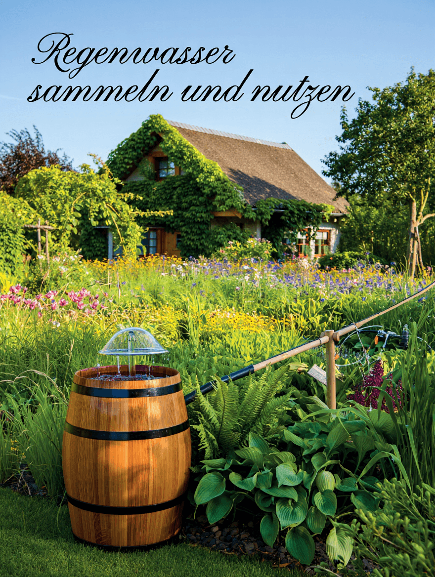 artikel garten regenwasser sammeln und nutzen