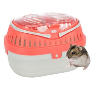 Trixie Transportbox Pico für Kleintiere - ca. B 23 x T 16 x H 17 cm