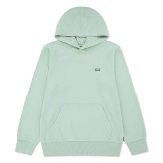 Levis Kids Hoodie "LVB MINI BATWING PULL OVER HOO", for BOYS