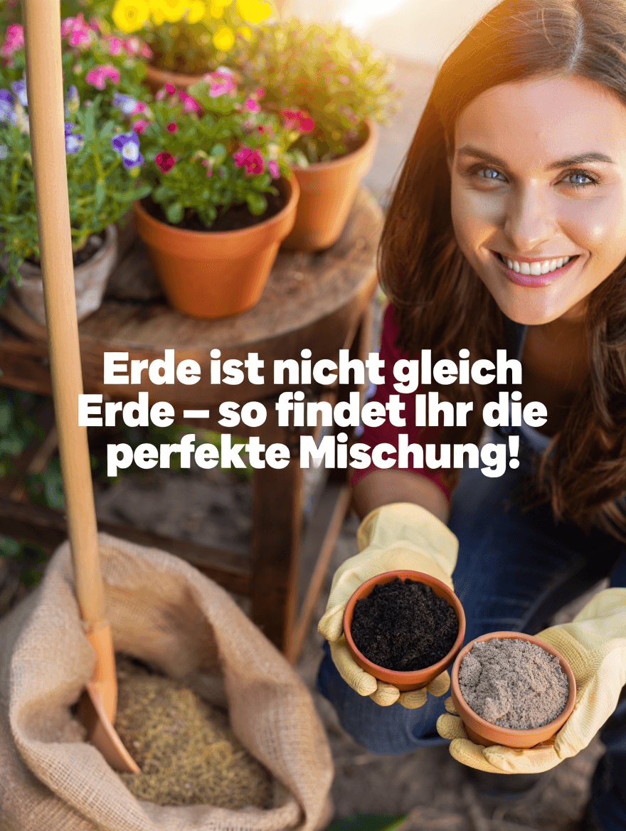 artikel garten die richtige erde