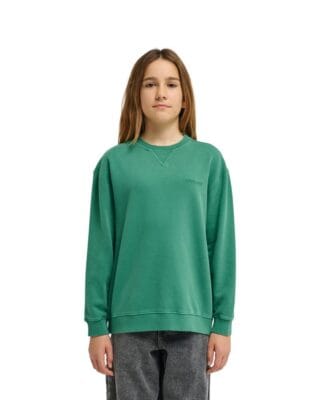 Element Sweatshirt "Cornell 3.0"