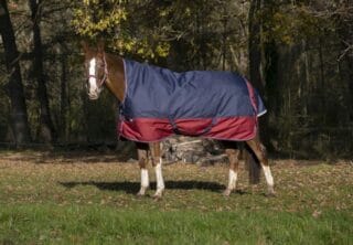 Equithème Decke "Tyrex 1200D" High Neck 0g