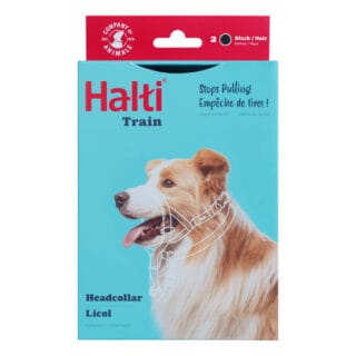 Halti Hunde-Kopfhalfter schwarz - Größe 2: Beagle, Border Collie, Pudel