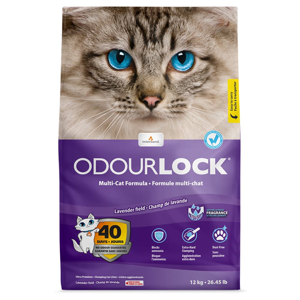 ODOURLOCK Katzenstreu Lavendel - 12 kg
