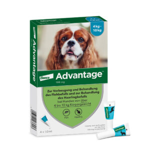 Advantage® 100 für Hunde, von 4 bis 10 kg - 4 Pipetten x 1,0 ml