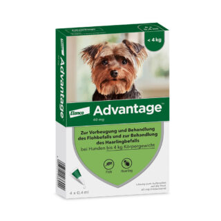 Advantage® 40 für Hunde, bis 4 kg - 4 Pipetten x 0,4 ml