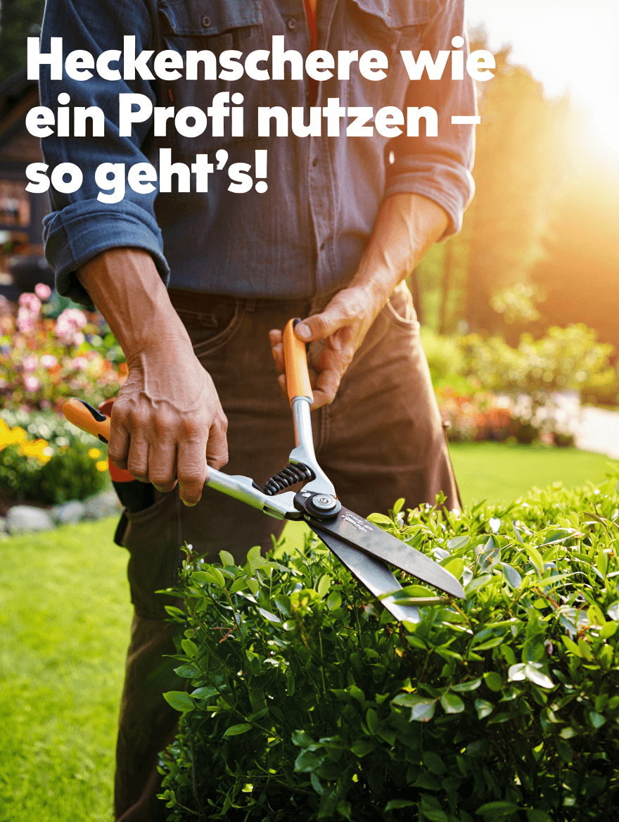 artikel garten heckenschere wie ein profi nutzen so gehts