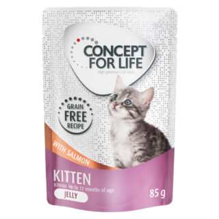 Concept for Life Kitten mit Lachs getreidefrei - in Gelee - 12 x 85 g