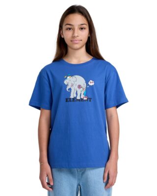 Element T-Shirt "Paintjob"