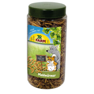 JR Farm Mehlwürmer in der Dose - 70 g