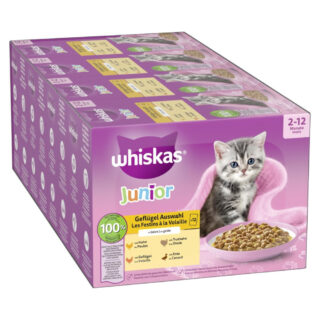 Jumbopack Whiskas Junior Frischebeutel 144 x 85 g - Geflügelauswahl in Gelee