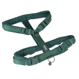 Nomad Tales Blush Geschirr, emerald - Größe S: 37 - 53 cm Brustumfang, 15 mm breit