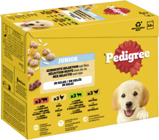 Pedigree Junior Frischebeutel Multipack - 12 x 100 g Gemischte Selektion in Gelee (4 Varietäten)