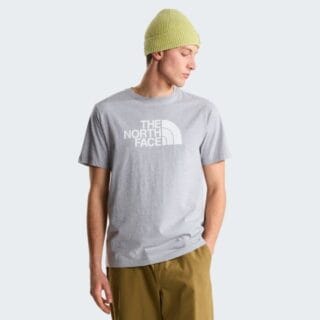 The North Face Evolution Half Dome Regular SS Tee Gr. M Grau Herren