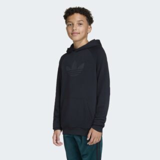 adidas Originals Kapuzensweatshirt "GFX TR LO HO"