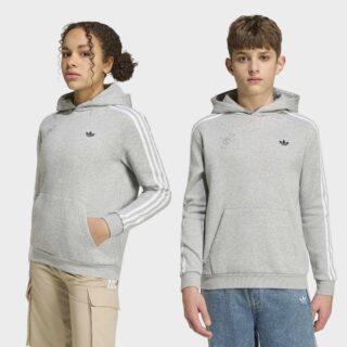 adidas Originals Kapuzensweatshirt "GRAFIK-HOODIE, LOCKER GESCHNITTEN"