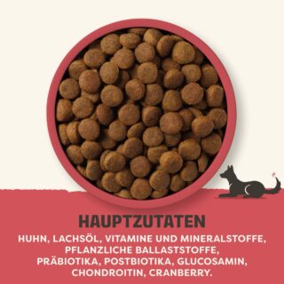 Applaws Adult Huhn Große Rassen - 4 kg