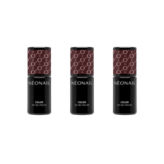 Autumn Color Bundle