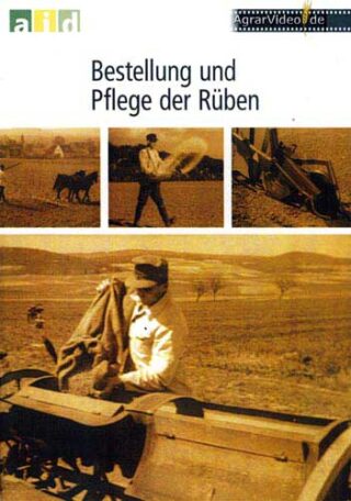 Bestellung und Pflege der Rüben