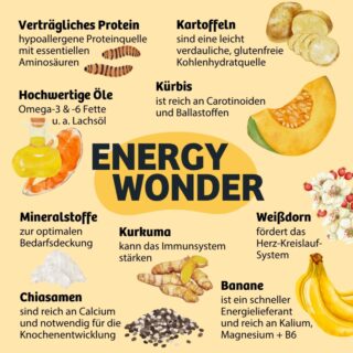BugBell Trockenfutter Energy Wonder - Sparpaket: 4 x 7 kg