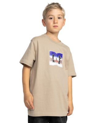 DC Shoes T-Shirt "Metallic Star"