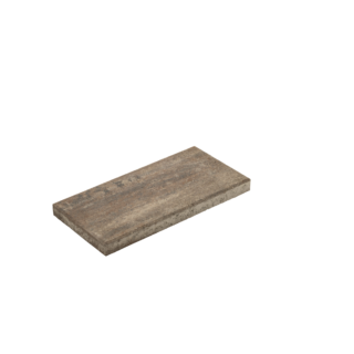 Diephaus Terrassenplatte 'T-Court Solid' muschelbeige 50 x 25 x 4 cm