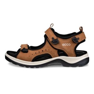 ECCO Offroad Andes II Sandal Gr. 37 Braun Damen