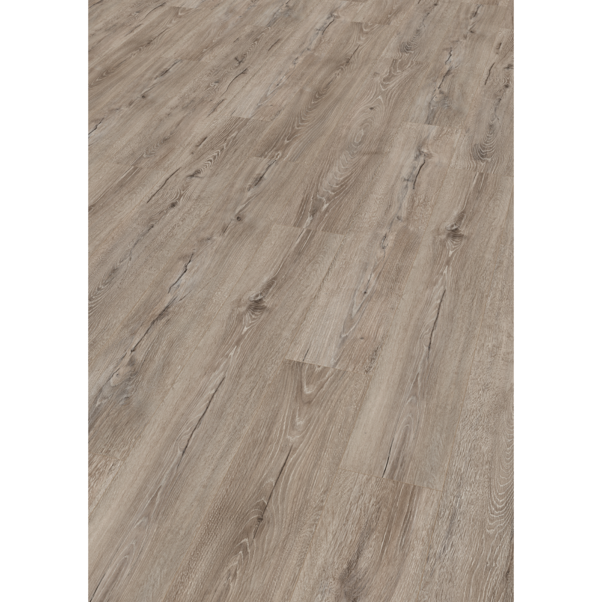 EGGER Laminat 'NatureSense' EL2010 Melba Eiche grau 7 mm