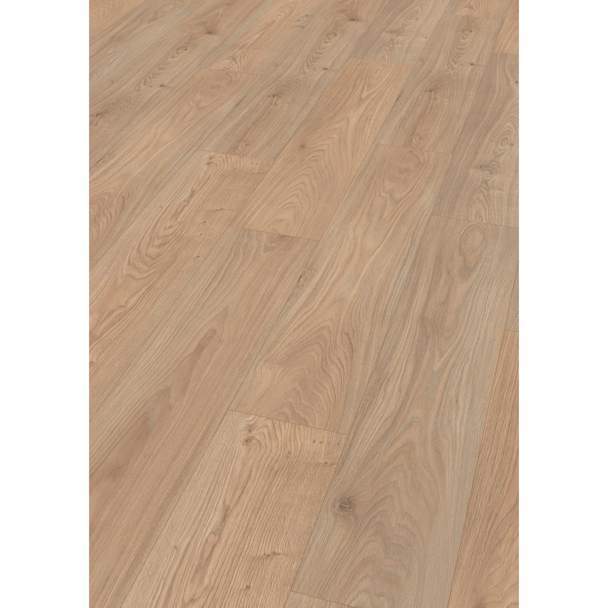 EGGER Laminat 'NatureSense' EL2091 Conway Eiche natur 8 mm