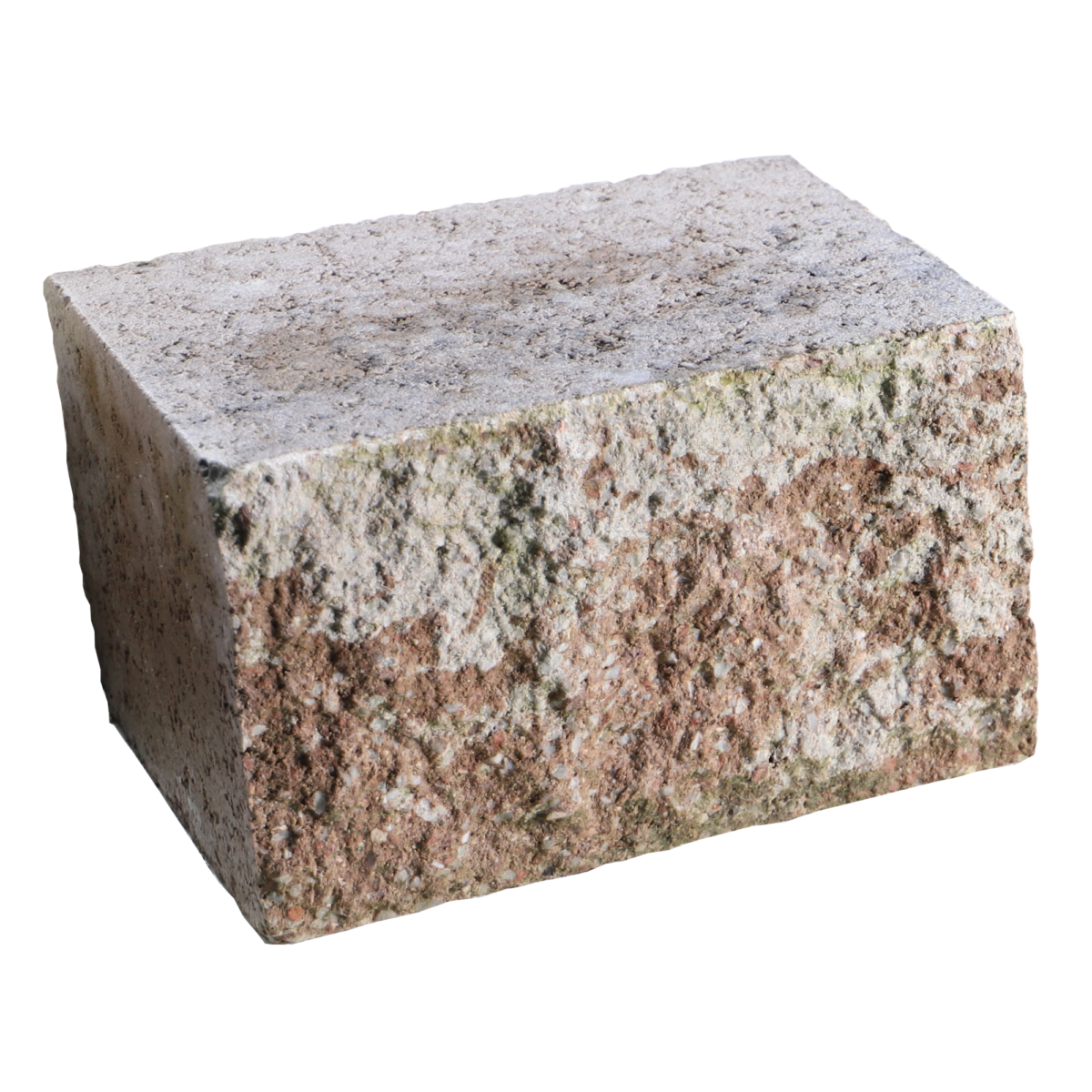 EHL Mauerstein 'Anzio Light' muschelkalkfarben 25 x 18 x 15 cm