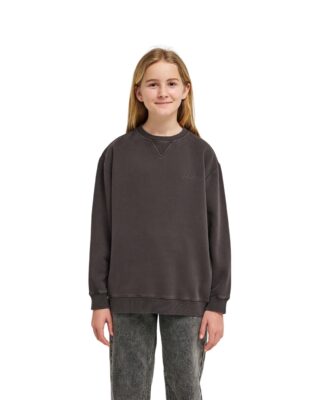 Element Sweatshirt "Lowcase Pigment"