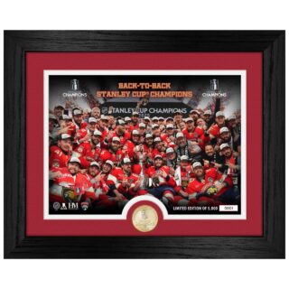 Florida Panthers 2025 NHL Stanley Cup Champions Celebration