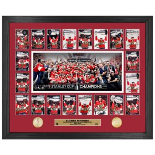 Florida Panthers 2025 NHL Stanley Cup Champions Momemts Bild