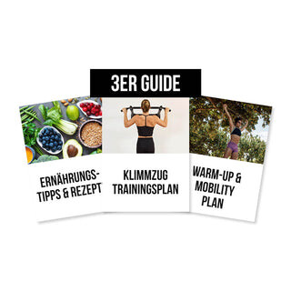 Guide Bundle (3 Guides)