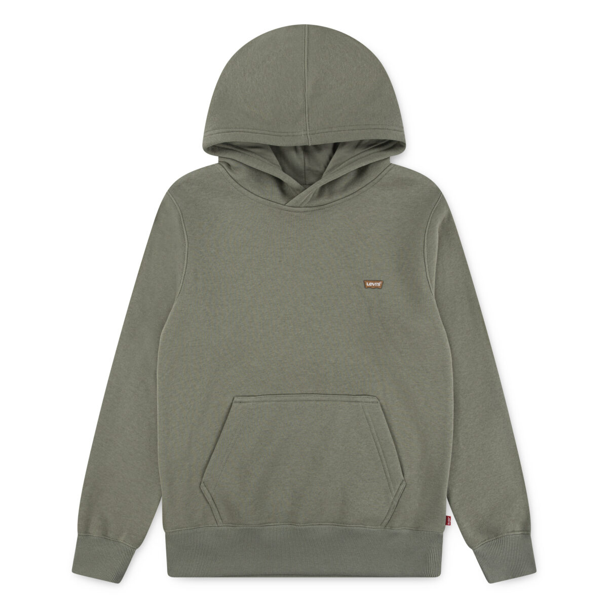 Levis Kids Hoodie "LVB MINI BATWING PULL OVER HOO", for BOYS