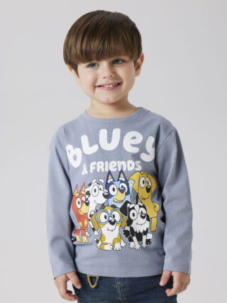 Name It Langarmshirt "NMMALEX BLUEY LS NREG TOP NOOS SKY"